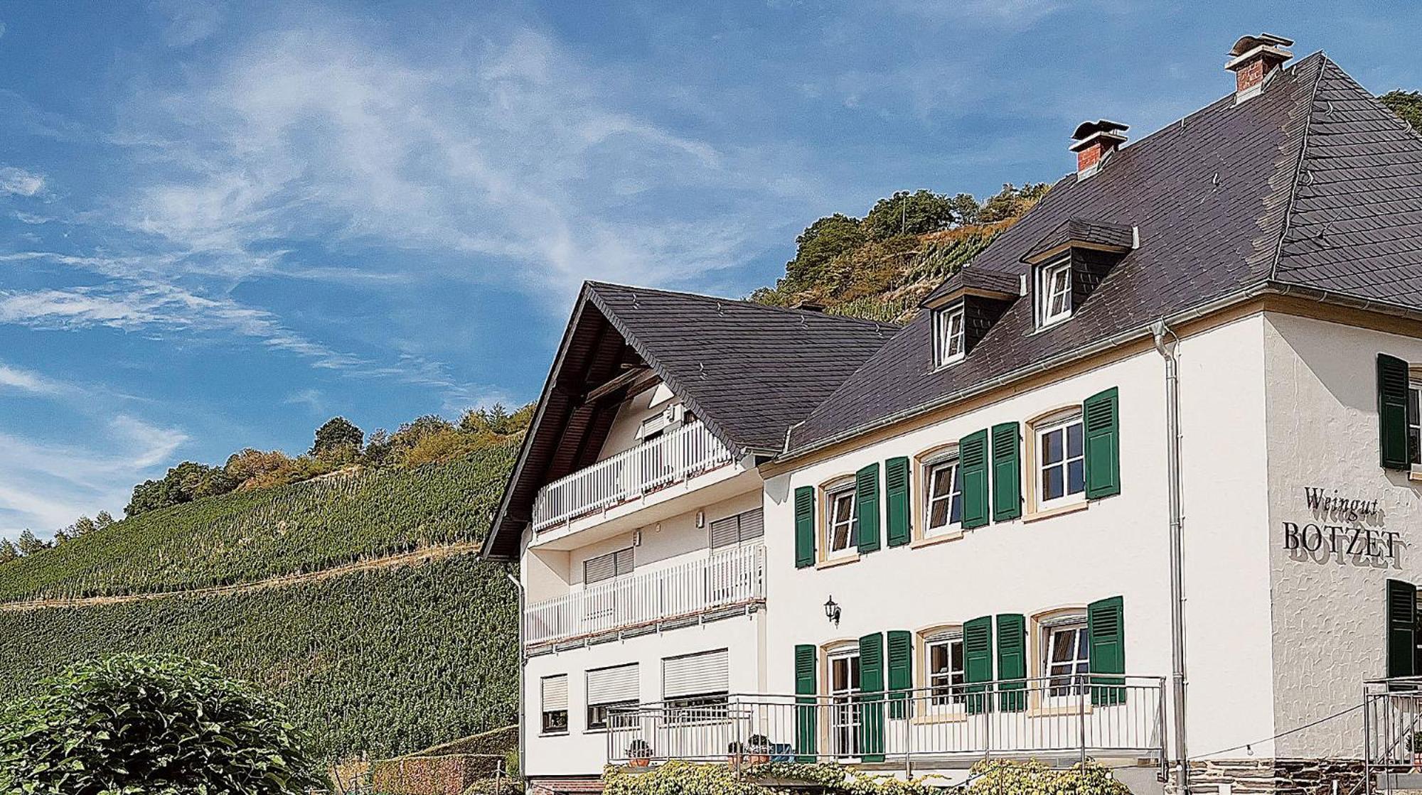 Pension 1595 Im Weingut Botzet Maring-Noviand Eksteriør billede